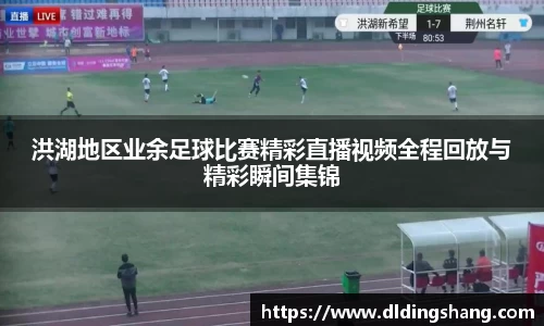 洪湖地区业余足球比赛精彩直播视频全程回放与精彩瞬间集锦