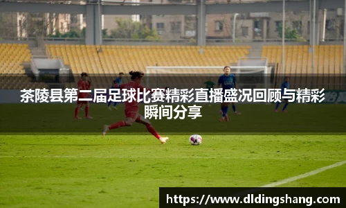 茶陵县第二届足球比赛精彩直播盛况回顾与精彩瞬间分享