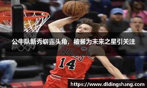 公牛队新秀崭露头角，被誉为未来之星引关注