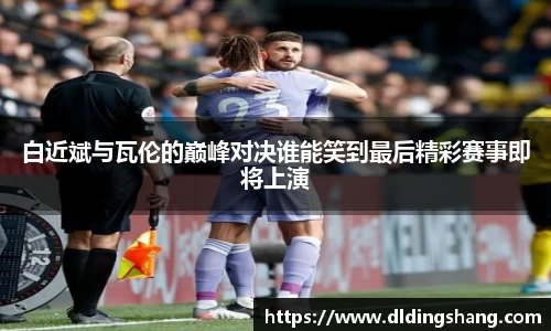 lehu乐虎最新地址